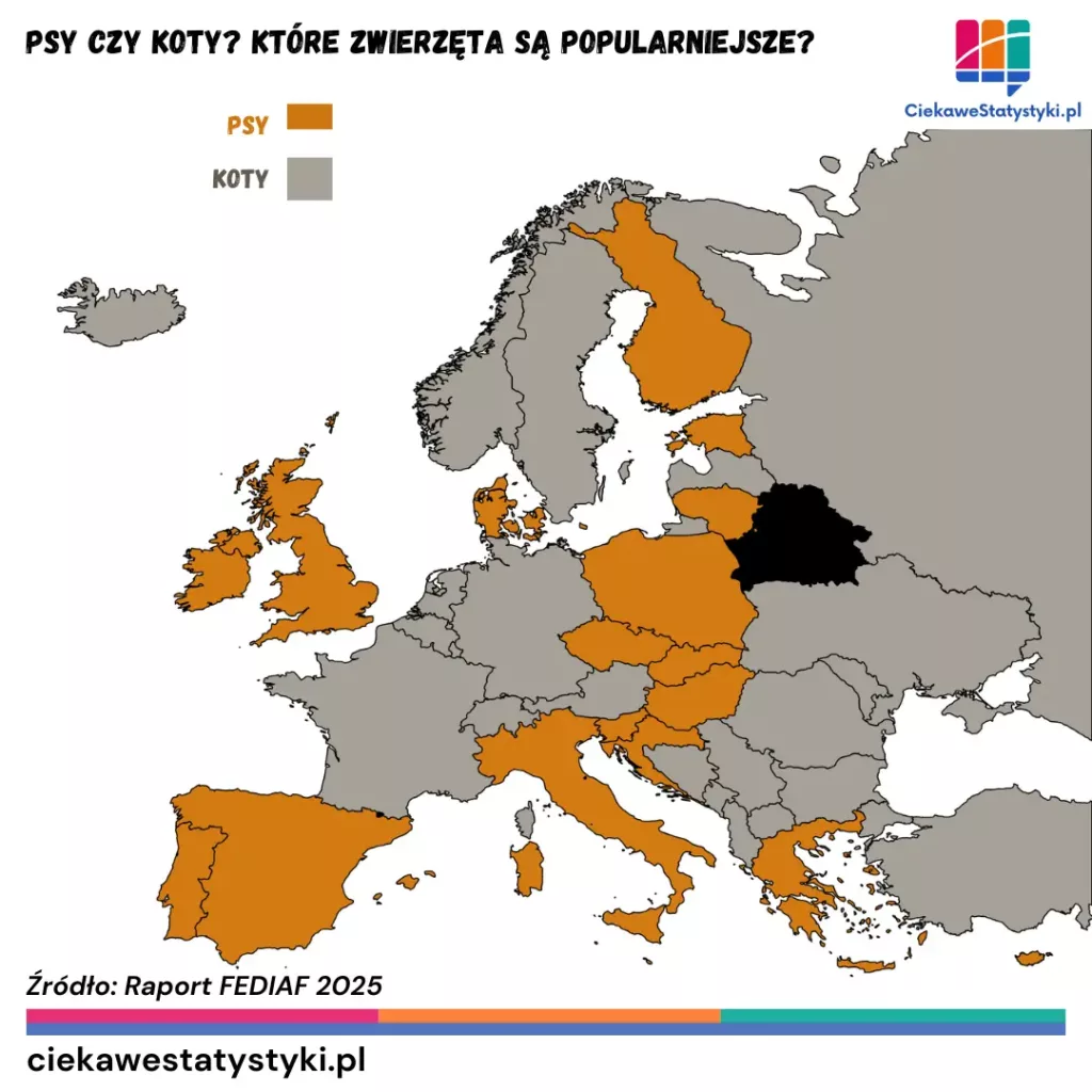 Pies czy kot? Które zwierzę jest popularniejsze w Europie? Dane FEDIAF przedstawione za pomocą infografiki na mapie.