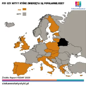 Pies czy kot? Które zwierzę jest popularniejsze w Europie?