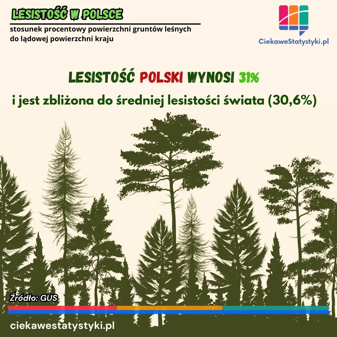 Grafika przedstawia wskaźnik lesistości w Polsce