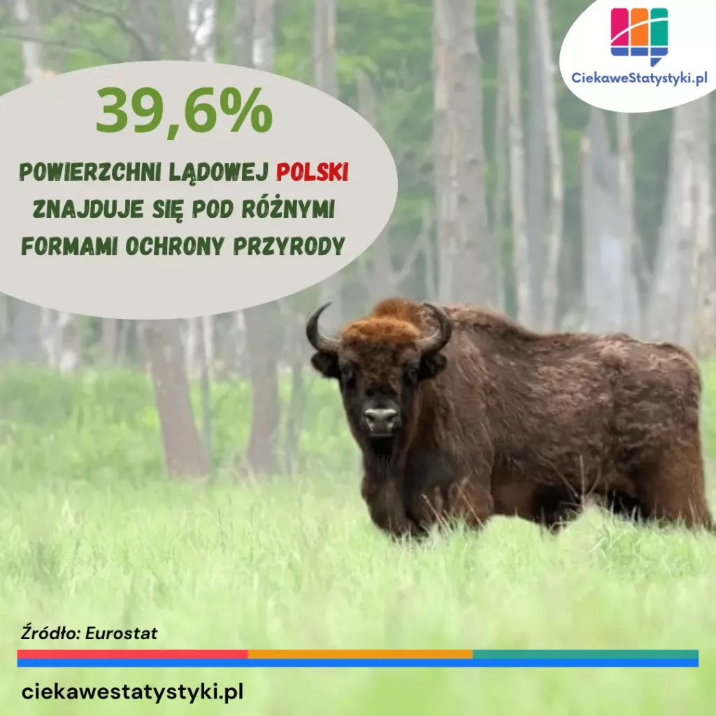 Infografika przedstawia obszary chronione w Polsce - udział powierzchni lądowej