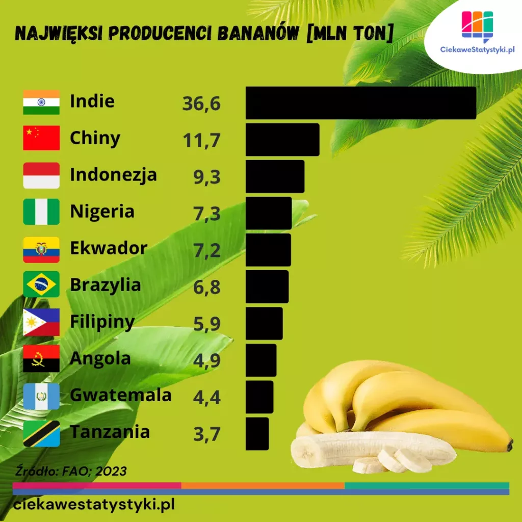 Najwięksi producenci bananów Najwięksi producenci bananów na świecie - wykres na podstawie danych FAO wg wielkości produkcji bananów